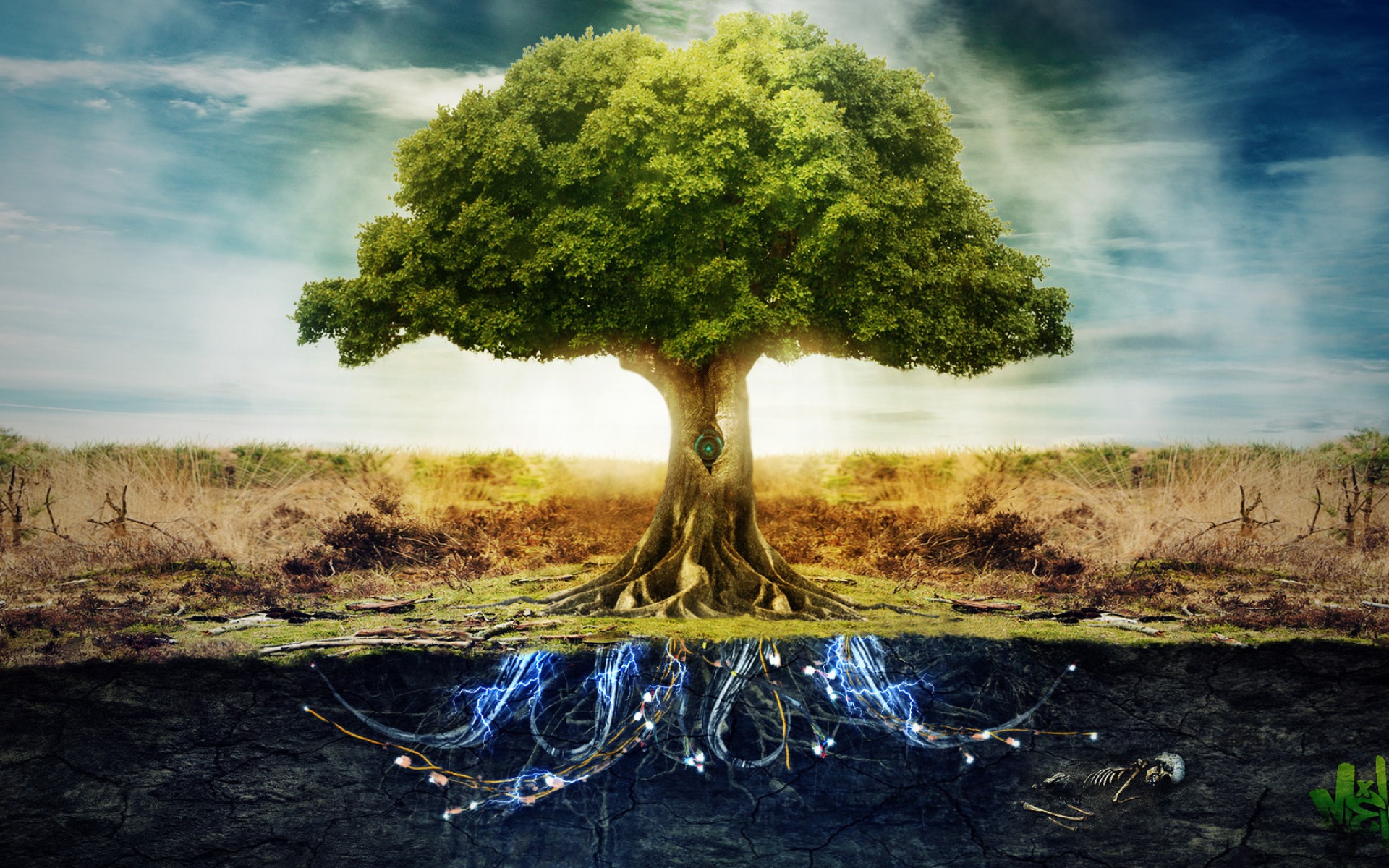 El destino no se escribe, se planta